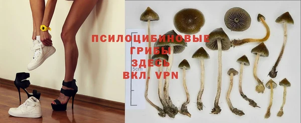 трава Дубна