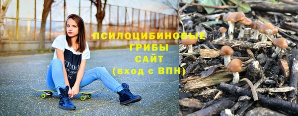 гидра Россошь