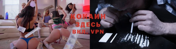 шишки Дубовка