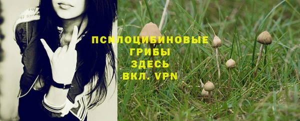 прущий лед Рославль