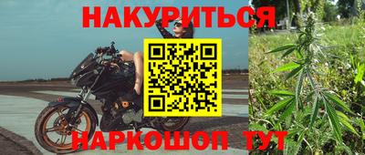 прущая мука Кингисепп