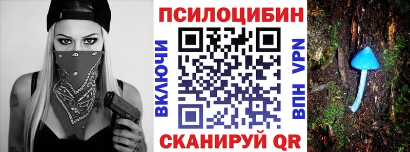 где купить   Снежинск  Псилоцибиновые грибы MAGIC MUSHROOMS 
