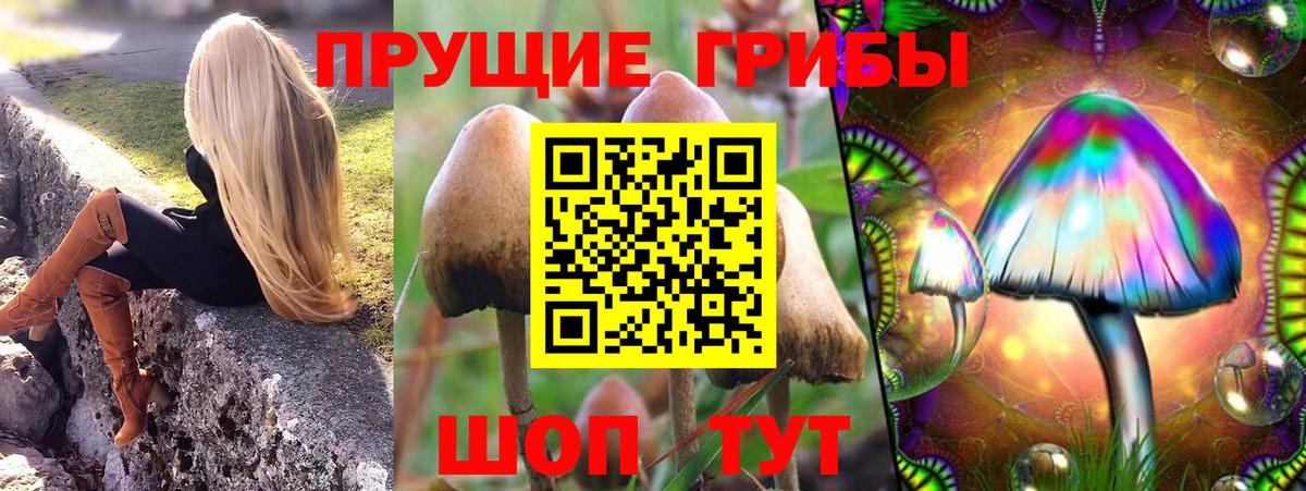 Псилоцибиновые грибы мицелий Снежинск